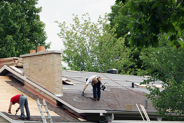 Best Roof Gutter Cleaning  in Potomac Mills, VA